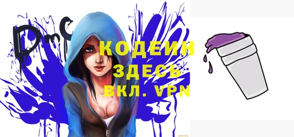 дурь Арсеньев