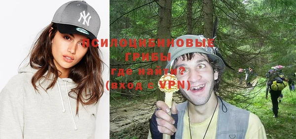 стафф Армянск