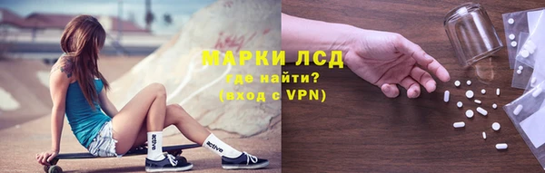 индика Баксан