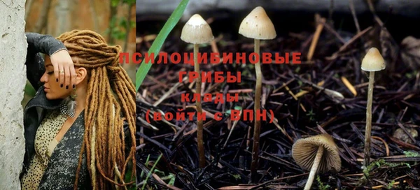 дурь Арсеньев