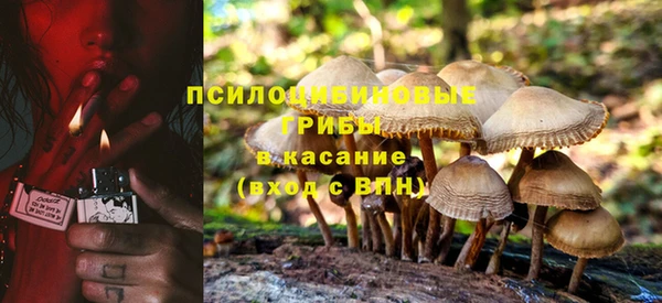 стафф Армянск